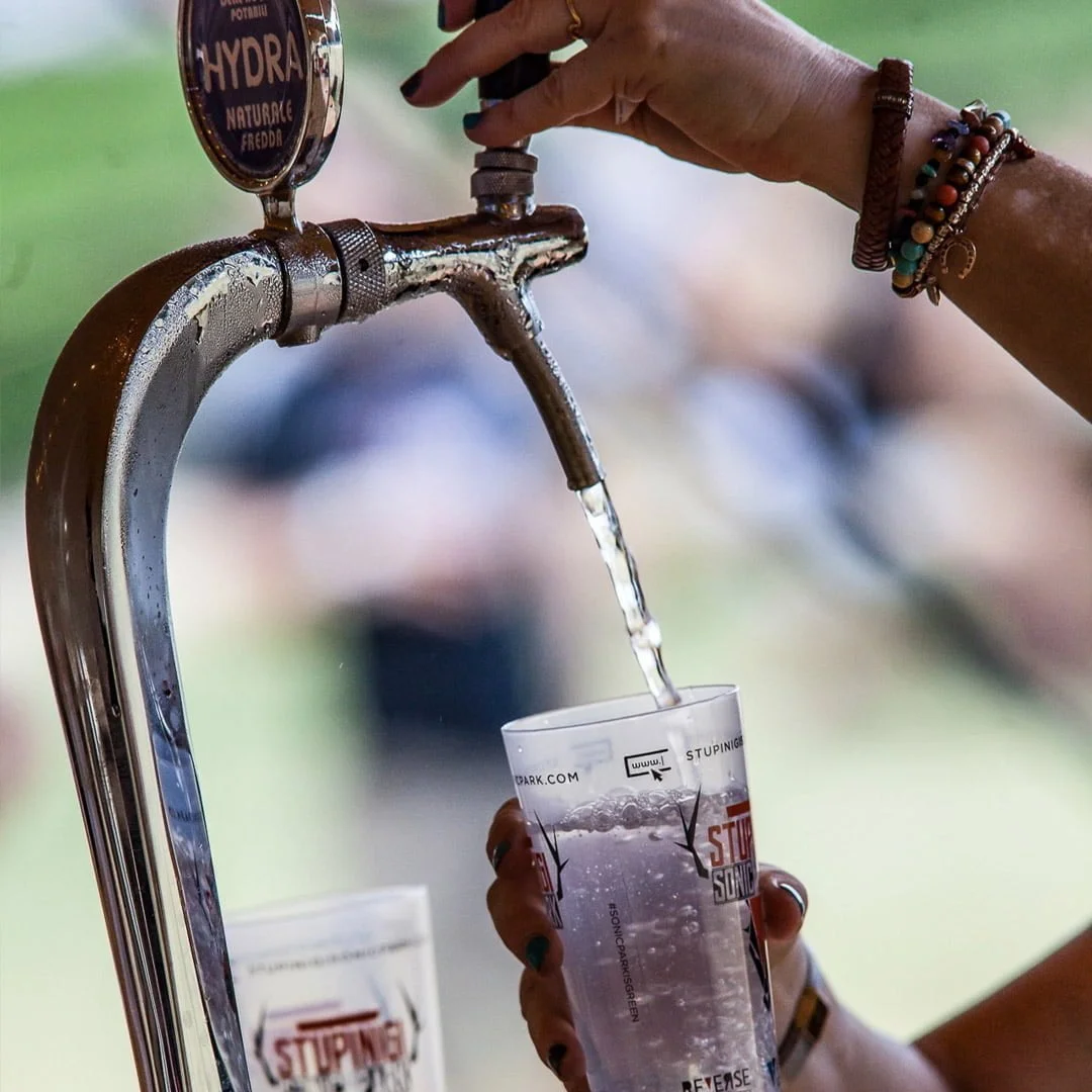 stupinigi sonic park