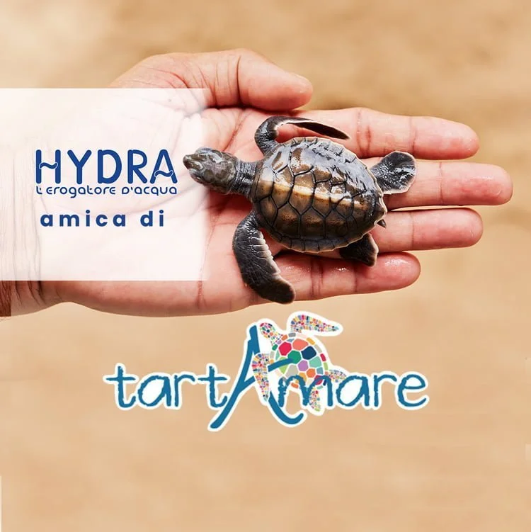 tartarughe tartamare