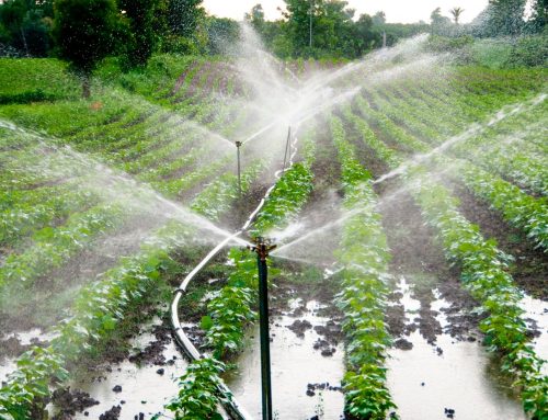 Rubinetto e miscelatore: scopri con Hydra le loro differenze ( Cloned )