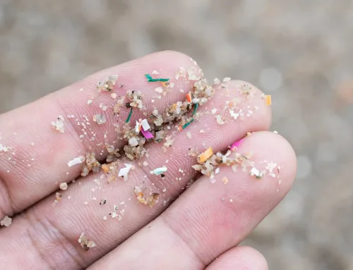 Microplastiche in acqua e ambiente: rischi per salute e come ridurle a casa