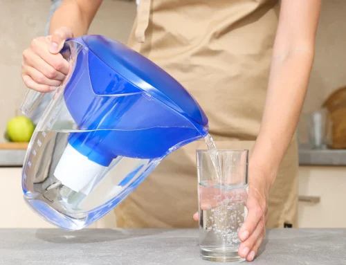 Caraffa filtrante o erogatore: differenze, costi e prestazioni a confronto